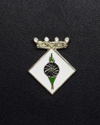 pin escudo sant vicenç dels horts