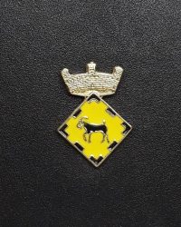 pin escudo santa maria de corco
