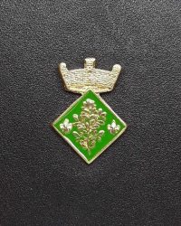pin escudo santa maria de martorelles