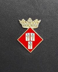 pin escudo sentmenat