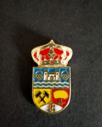 pin escudo serón