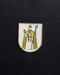pin escudo sobremunt
