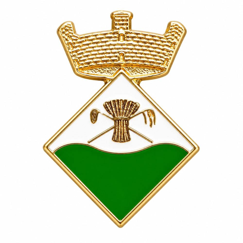 pin escudo sora