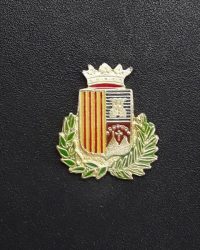 pin escudo tiana