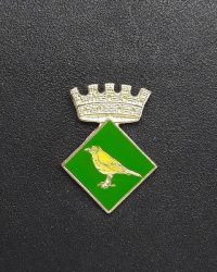 pin escudo tordera