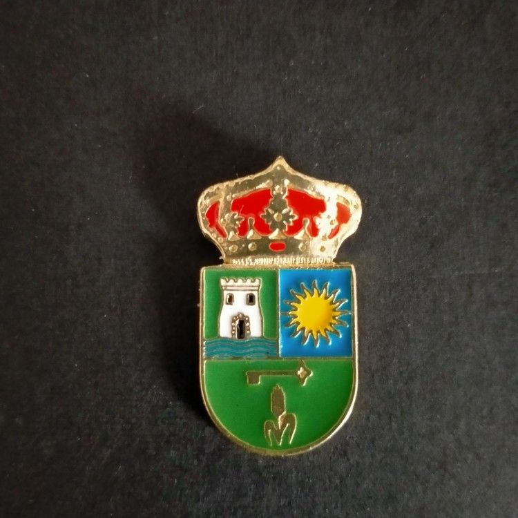 pin escudo turre