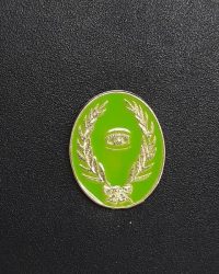 pin escudo ullastrell