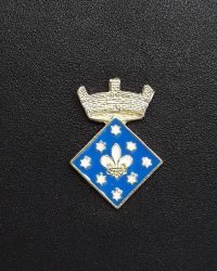 pin escudo vallcebre