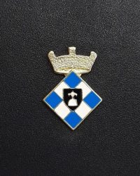 pin escudo vallgorguina
