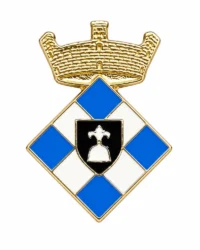 pin escudo vallgorguina