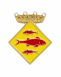 pin escudo vallmoll