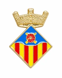 pin escudo vallromanes