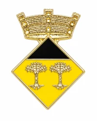 pin escudo vandellos i l hospitalet de l infant