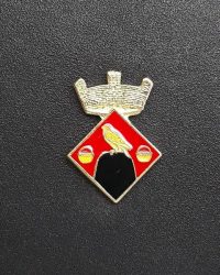 pin escudo veciana