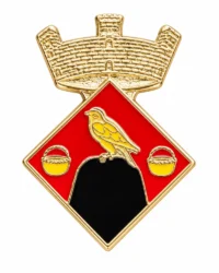 pin escudo veciana