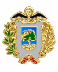 pin escudo el vendrell