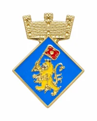 pin escudo ventallo