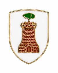 pin escudo verdu