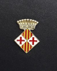 pin escudo vic