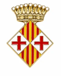 pin escudo vic