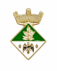 pin escudo vidra
