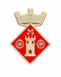 pin escudo viladamat