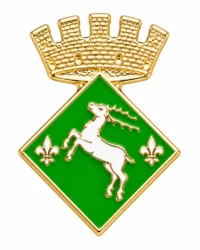 pin escudo vilaller
