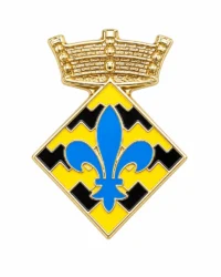 pin escudo vilanova de bellpuig