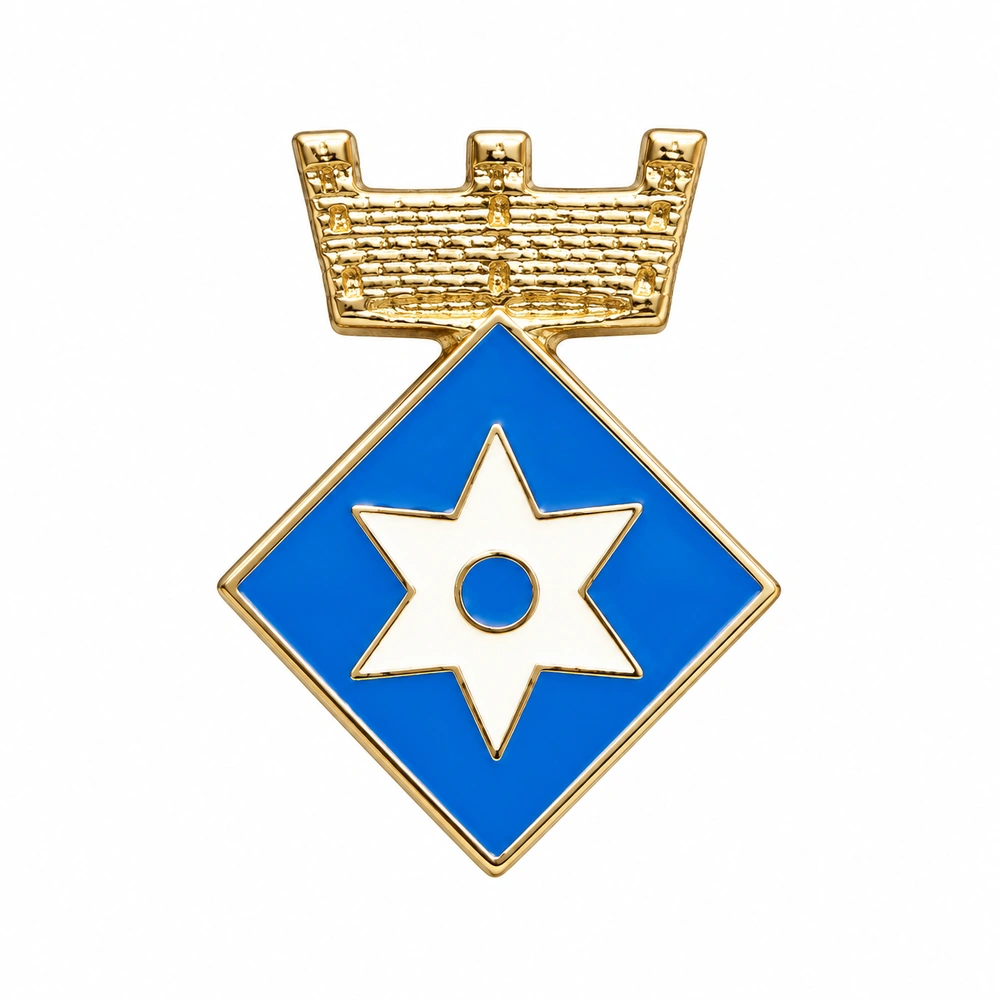 pin escudo vilanova de sau