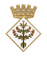 pin escudo xerta